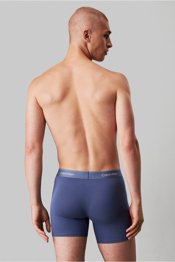 BOXER BRIEF 3PK LV00NB4394 VNTG INDG/MCR CHP/MLTN W/ DTM WB